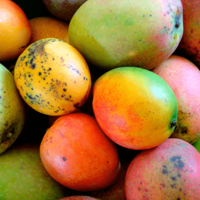 Mango Dulce