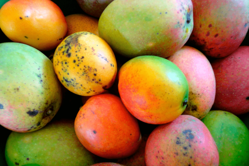 Mango Dulce