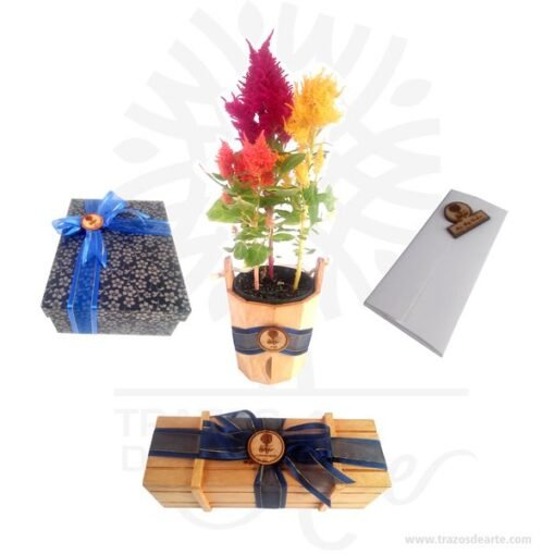 Caja estuche en madera 16 x 9,5 x 5 cm para personalizar