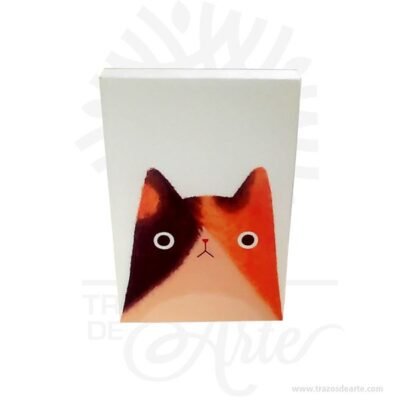 Cuadro Gato
